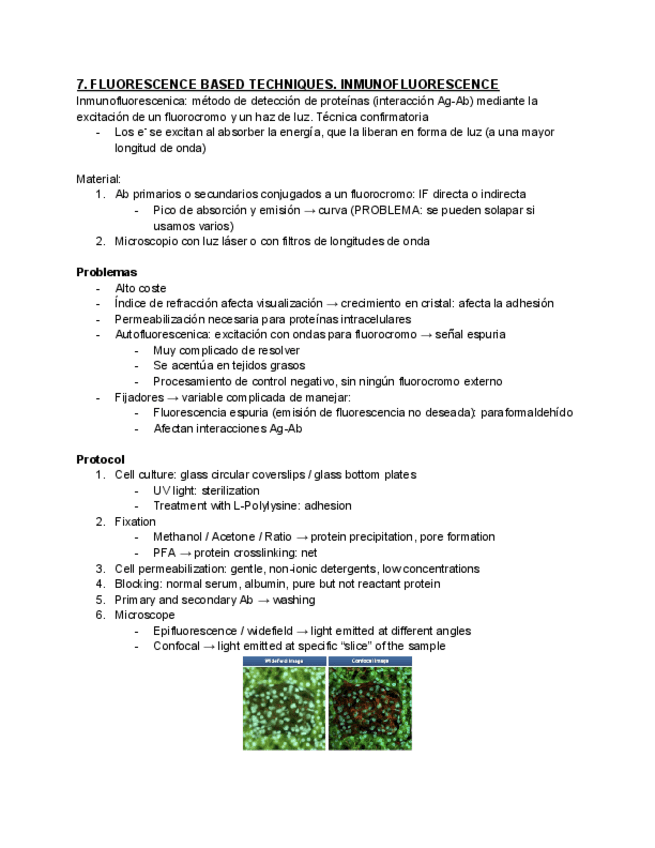 T7-INMUNOFLUORESCENCE.pdf