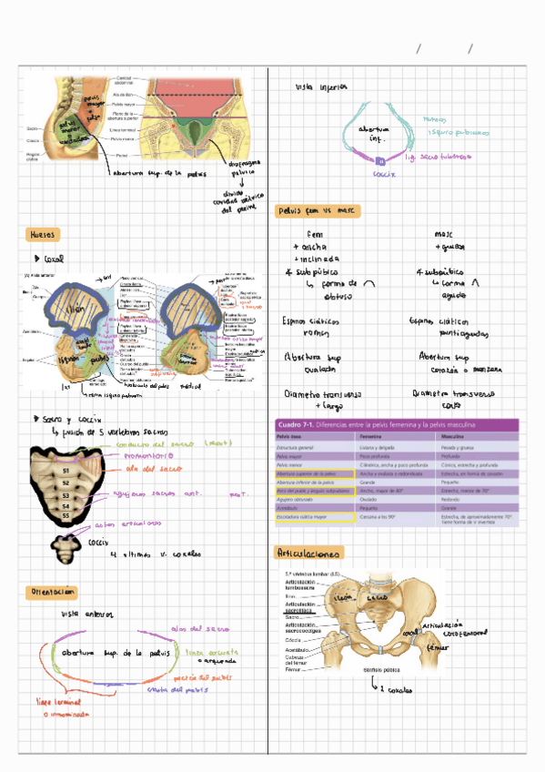 Pelvis-y-peritoneo.pdf