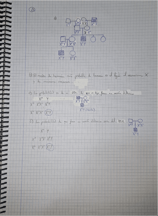 Practica-2DavidBouhyaneTorrenteGeneticaHumana.pdf