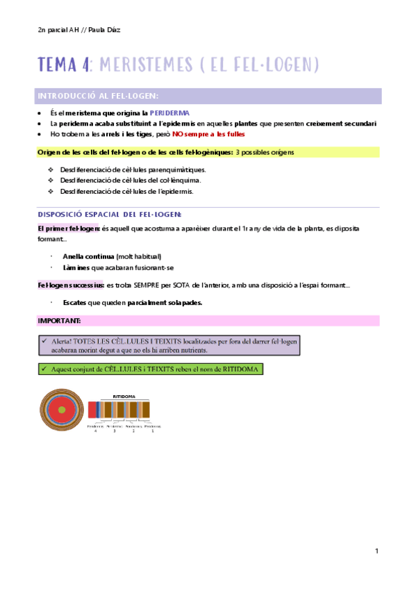 2n-parcial-AH-t-4.pdf