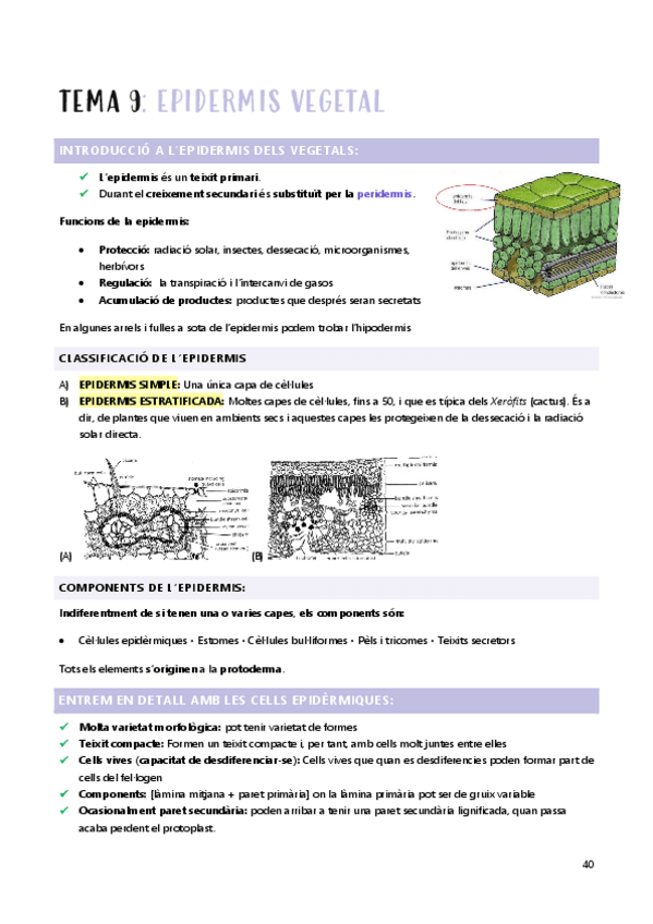 2n-Parcial-AH-t-9.pdf