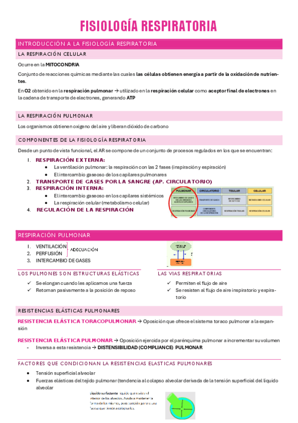 fisio-respiratorio.pdf