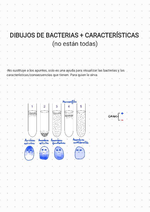 DIBUJOS-BACTERIAS-MICROBIOLOGIA-2024-25.pdf