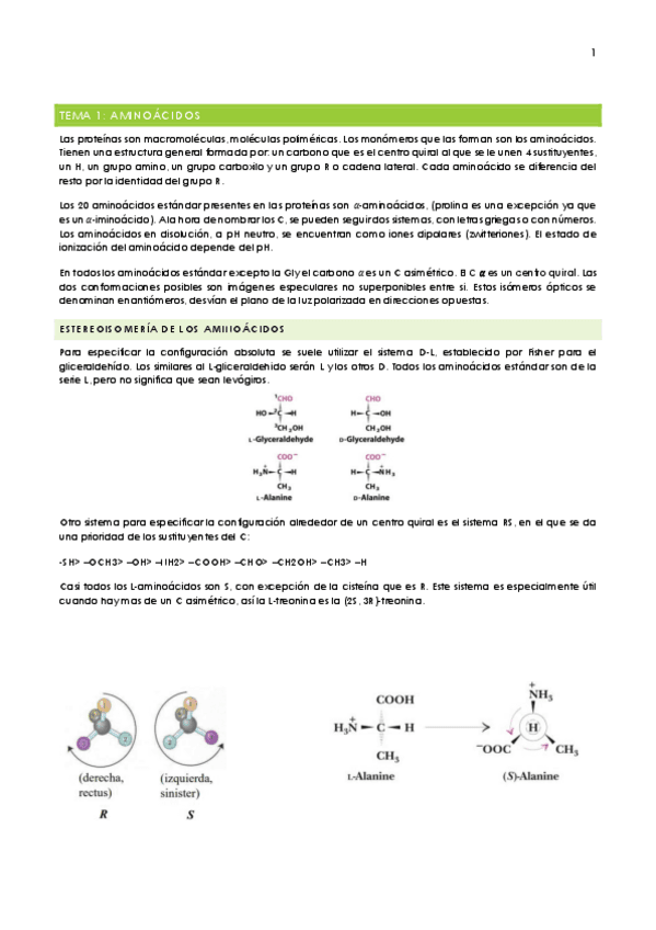 1o-parcial-BQ-6-temas-v.pdf