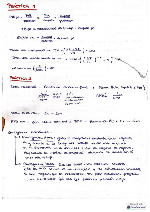 Practicas-1-9-Resumen-cosas-mas-importan.pdf