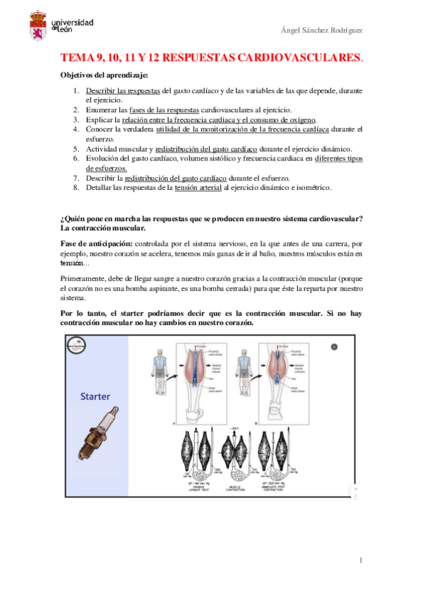 Segundo-Parcial.pdf