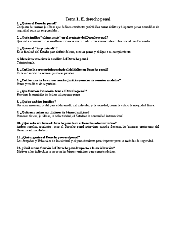 Preguntas-Penal.pdf
