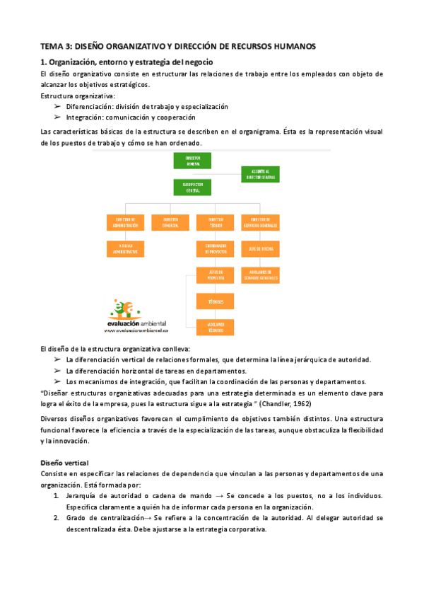 TEMA-3-DISENO-ORGANIZATIVO-Y-DIRECCION-DE-RECURSOS-HUMANOS.pdf