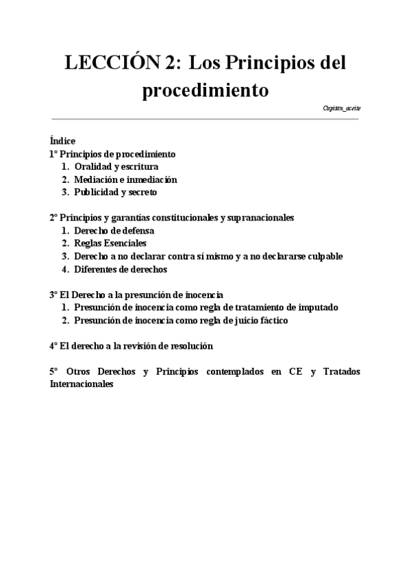 LECCION-2-Los-Principios-del-procedimiento.pdf