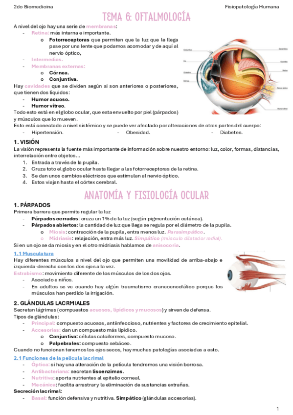 T6.-Oftalmologia.pdf