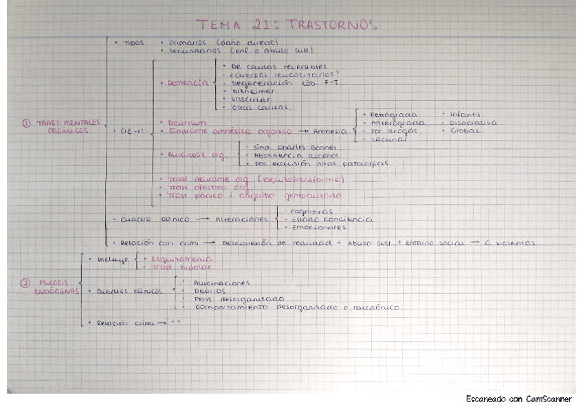 Med.-T21.-Trastornos.pdf