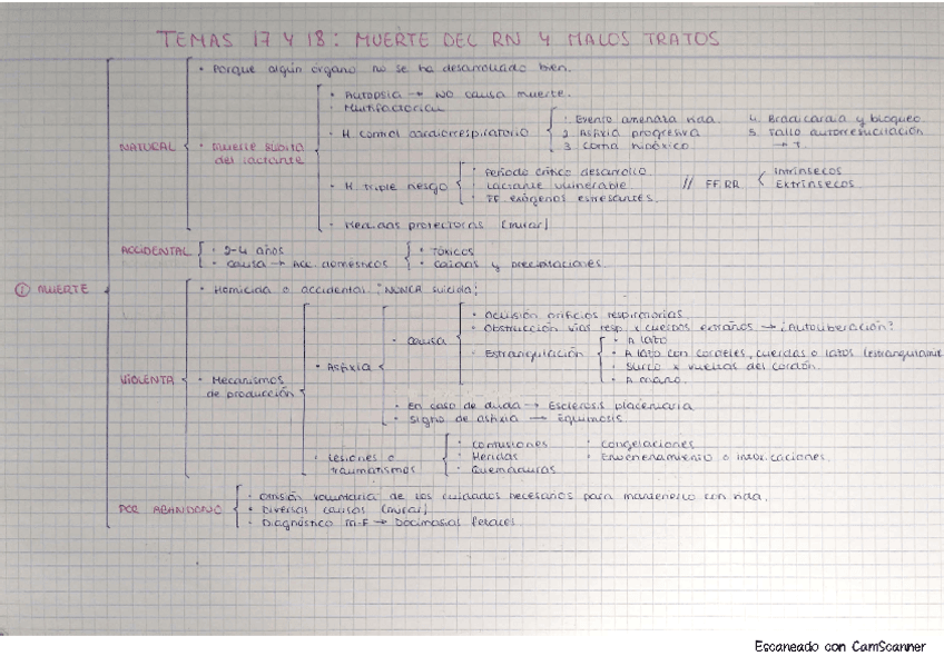 Med.-T17-18.-Muerte-RN-y-malos-tratos.pdf