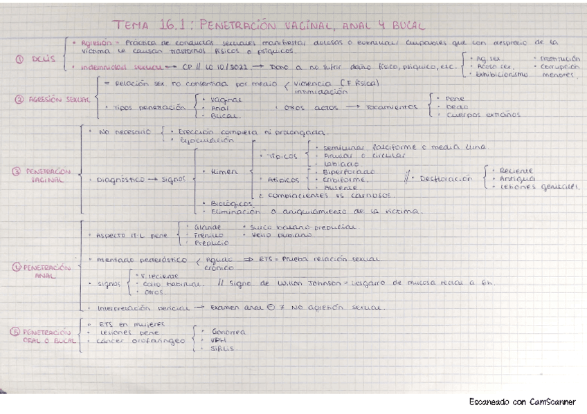Med-T16.-Penetracion-y-aborto.pdf