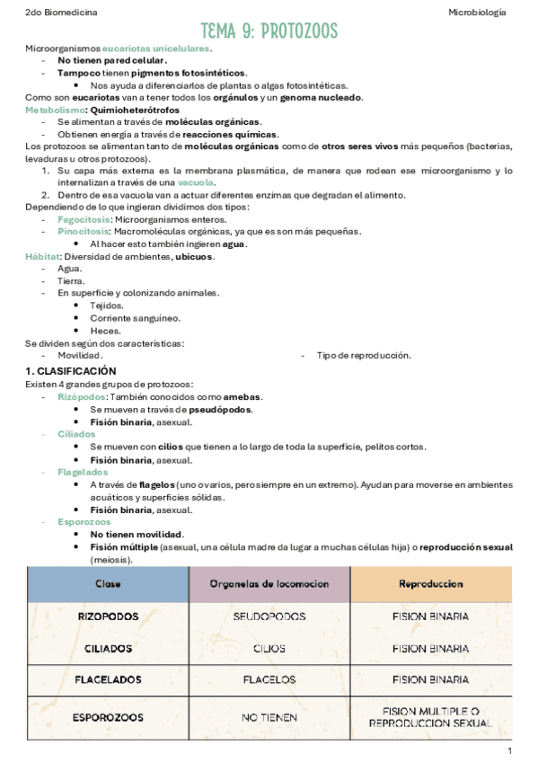 T9-Protozoos.pdf