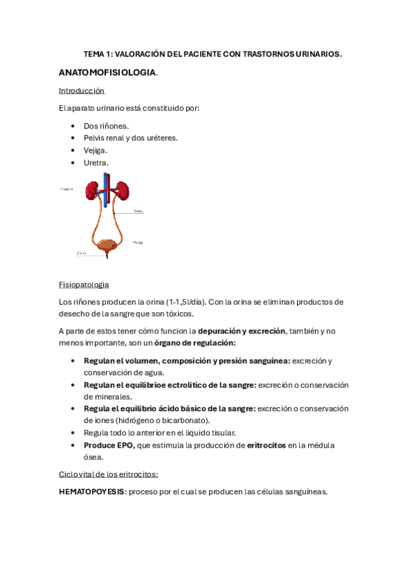 Tema-1.pdf