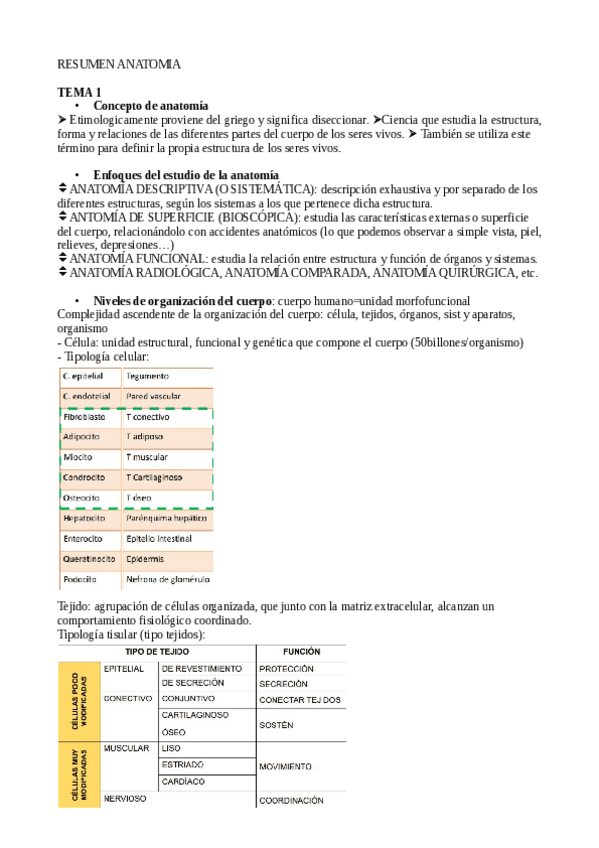 Resumen-anatomia.pdf