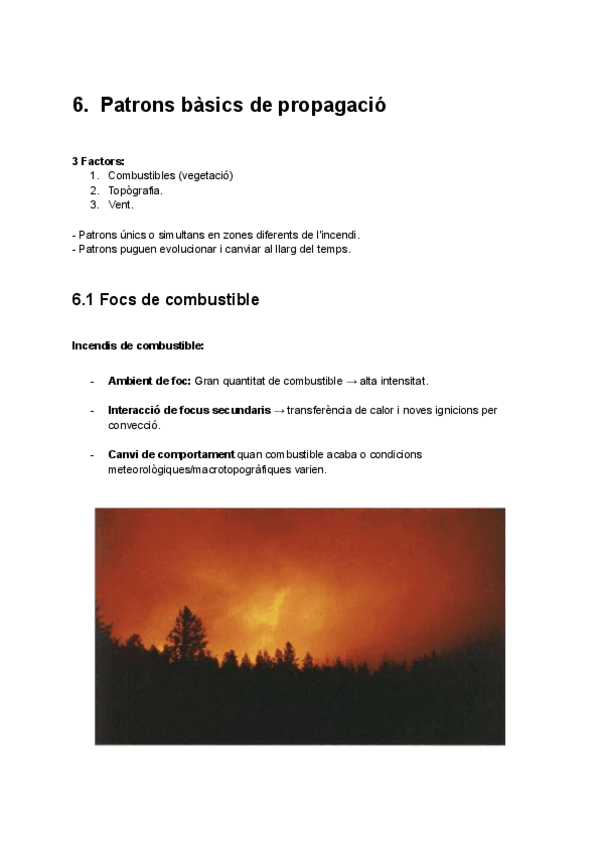 Tema-5-Catalan.pdf
