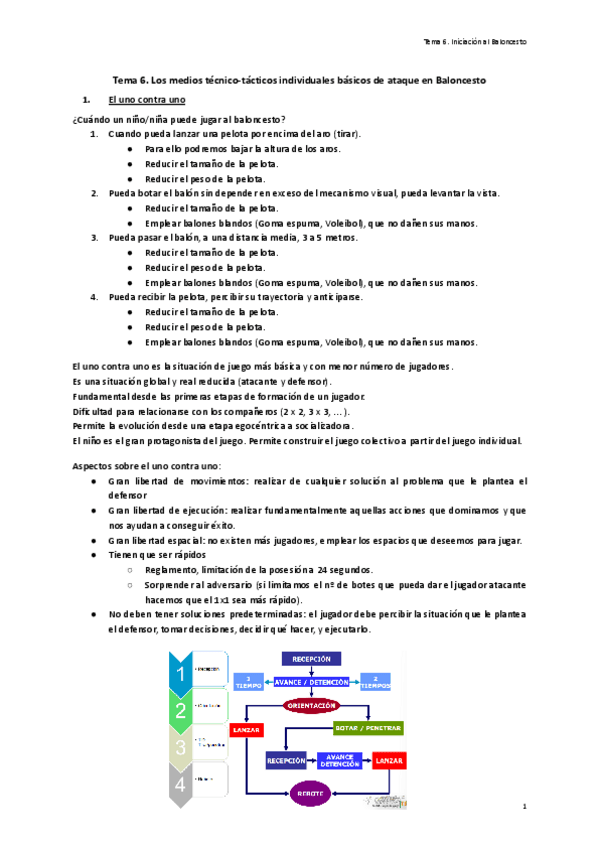 Tema-6.-Los-medios-tecnico-tacticos-individuales-basicos-de-ataque-en-Baloncesto.pdf