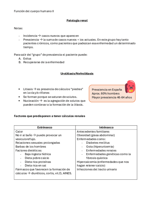 Patologia-renal.pdf