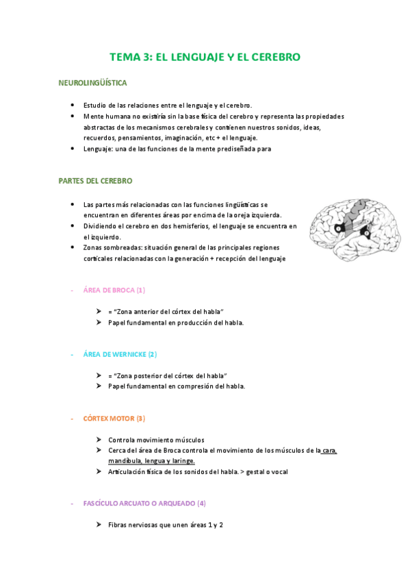 TEMA-3-LINGUISTICA.pdf