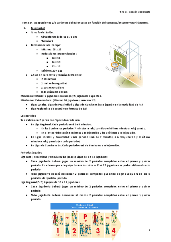 Tema-14.-Adaptaciones-yo-variantes-del-Baloncesto-en-funcion-del-contextoentorno-y-participantes..pdf