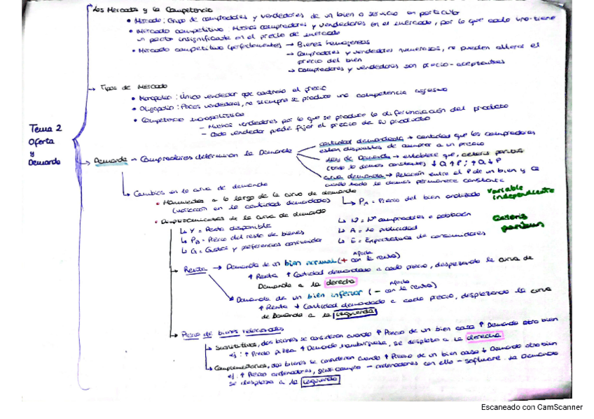 Tema-2-El-funcionamiento-de-los-mercados-La-Oferta-y-la-Demanda.pdf