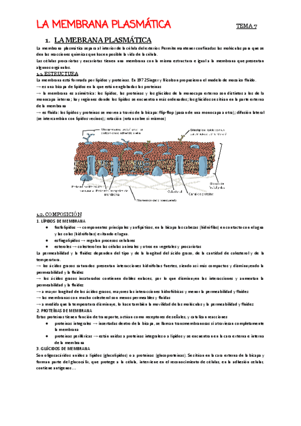 T7-Membrana-plasmatica.pdf
