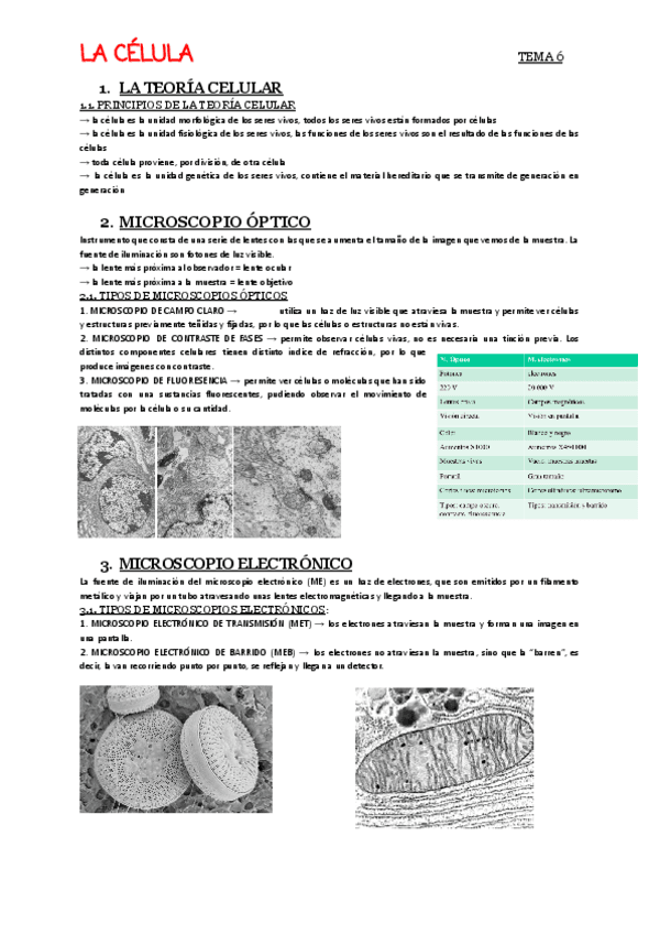 T6-Celula.pdf