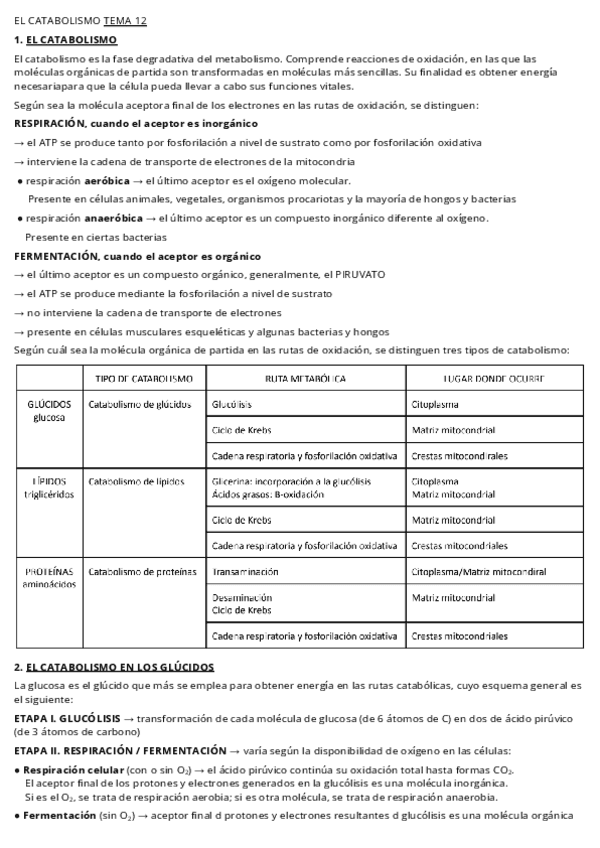T.12-El-catabolismo.pdf