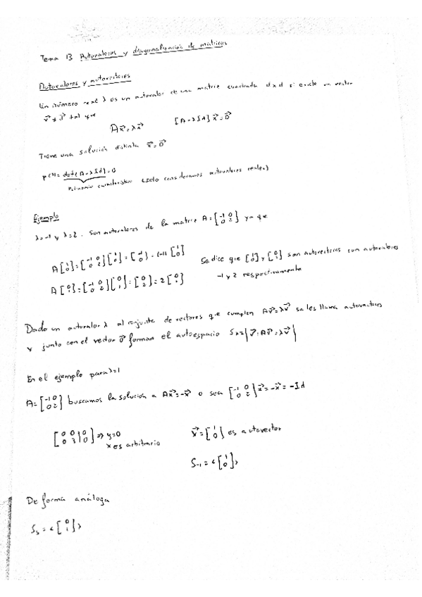 TEMA-13-AUTOVALORES-Y-DIAGONALIZACION-DE-MATRICES.pdf