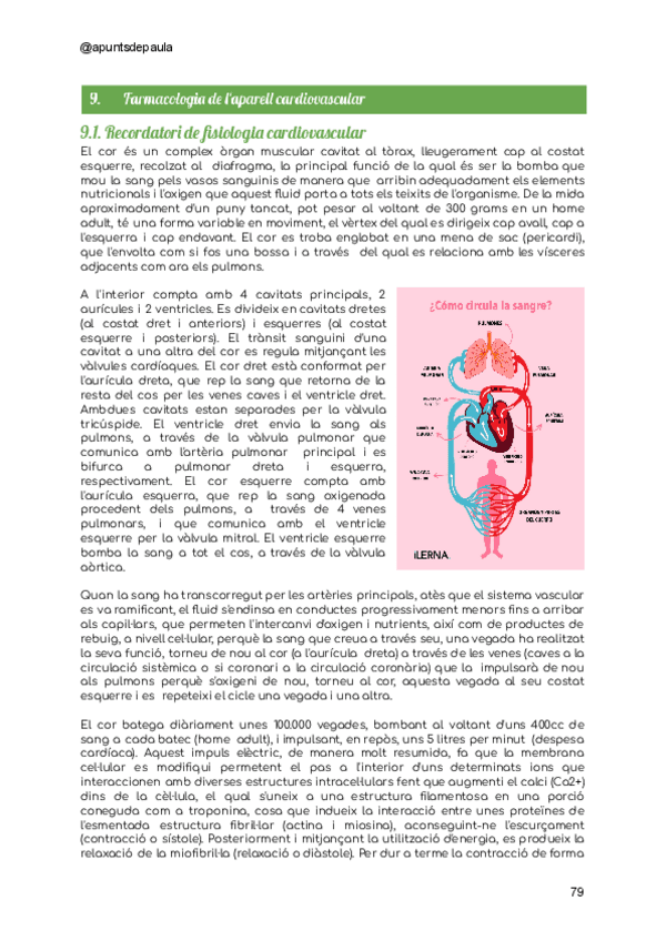 Farmacologia-TOT-2n-Parcial.pdf