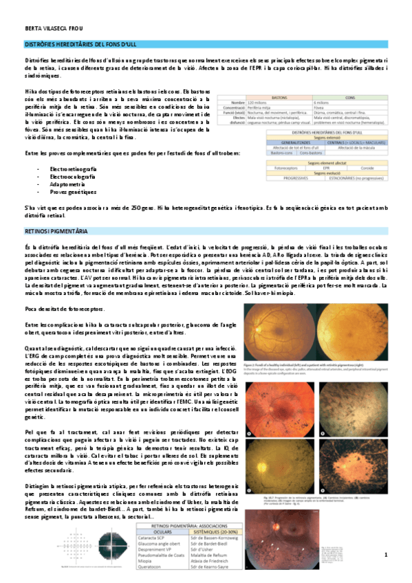 distrofies-hereditaries-de-la-retina.pdf