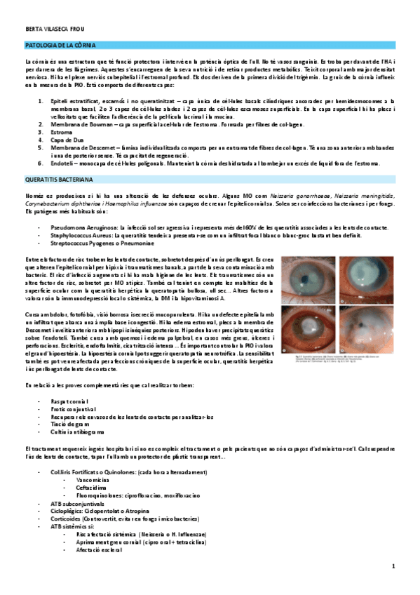 patologia-de-la-cornia.pdf