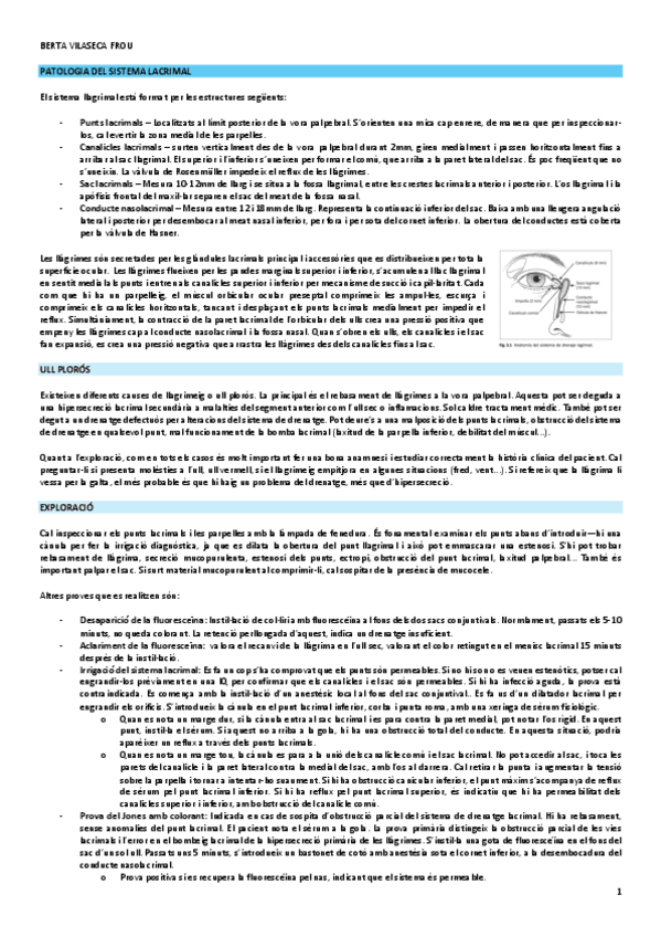 patologia-del-sistema-lacrimal.pdf