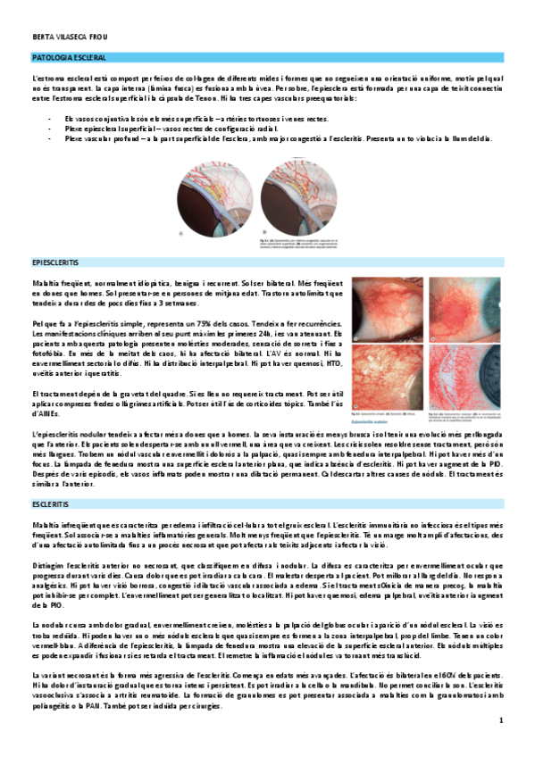 patologia-escleral.pdf