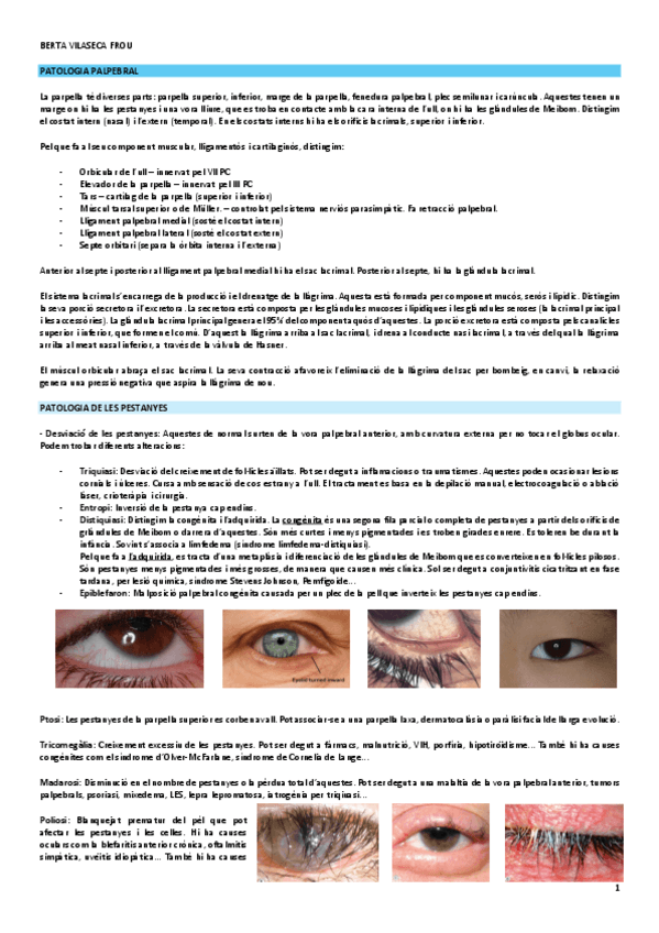 patologia-palpebral.pdf