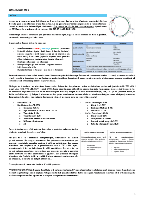 uveitis.pdf