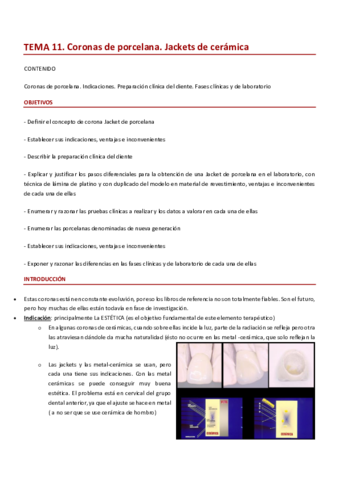TEMA 11 PRÓTESIS II.pdf