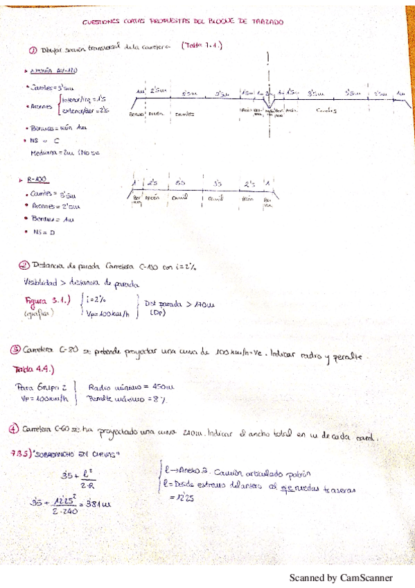 PATRICIAMOLINACUESTIONESTRAZADO.pdf