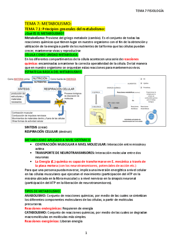 TEMA-7-Fisiologia-METABOLISMO.pdf