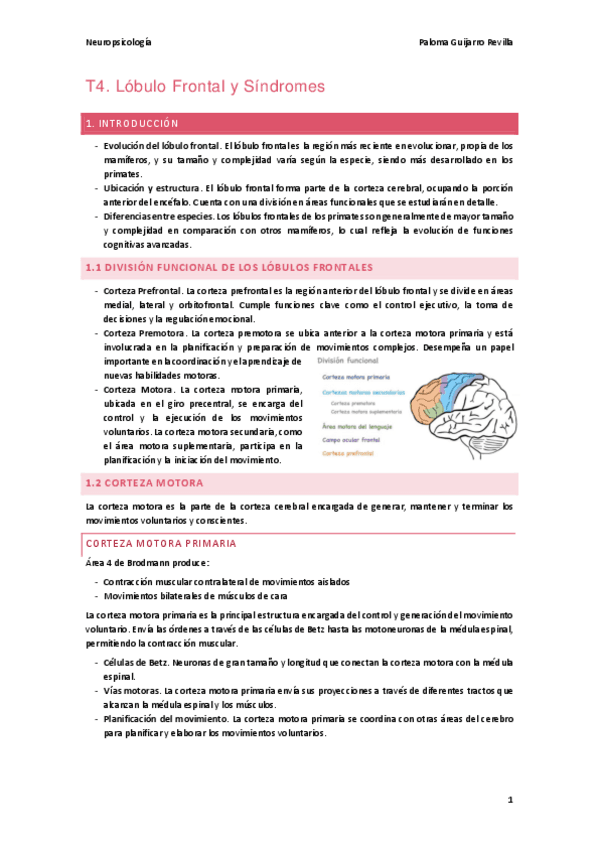T4.-Lobulo-Frontal-y-Sindromes.pdf