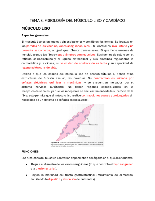 TEMA-8-FISIOLOGIA-DEL-MUSCULO-LISO-Y-CARDIACO-pdf.pdf