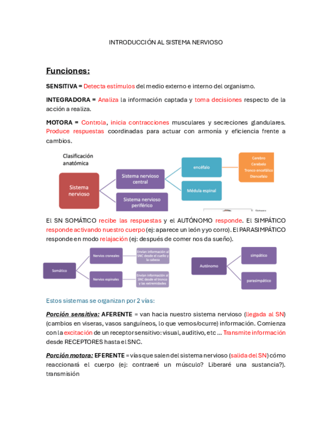 INTRODUCCION-AL-SISTEMA-NERVIOSO-pdf.pdf