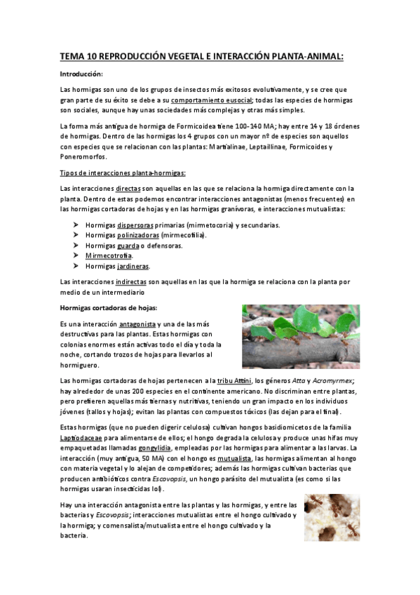 TEMA-10-REPRODUCCION-VEGETAL-E-INTERACCION-PLANTA-ANIMAL.pdf
