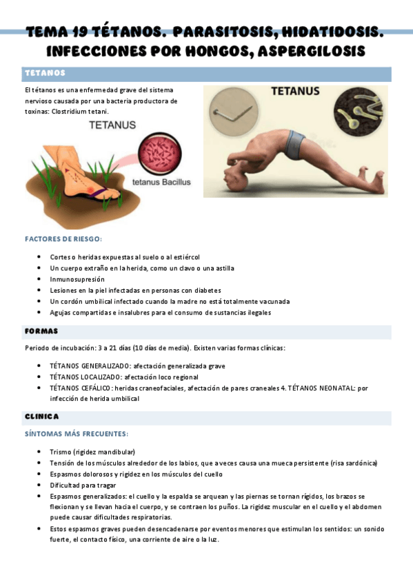 PATOLOGIA-QUIRURGICA-GENERAL-T19.pdf