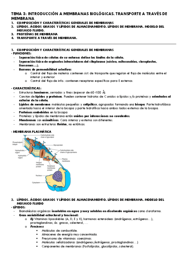 Tema-3-Bioquimica.pdf