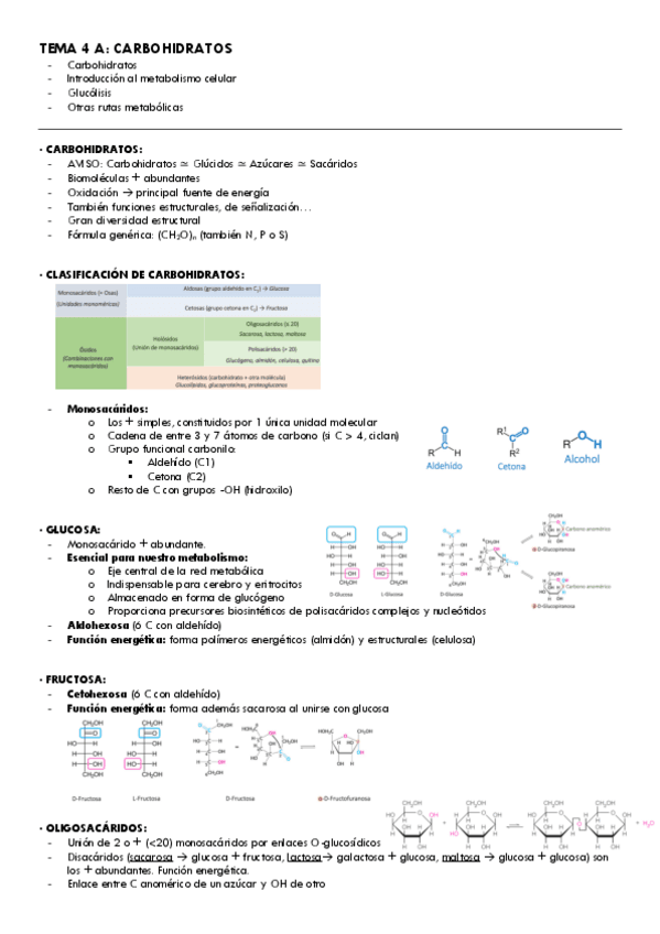 Tema-4A-y-4B-Bioquimica.pdf