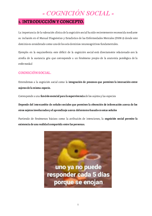9.-Cognicion-social..pdf