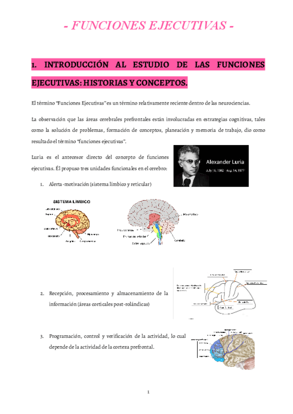8.-Funciones-ejecutivas..pdf