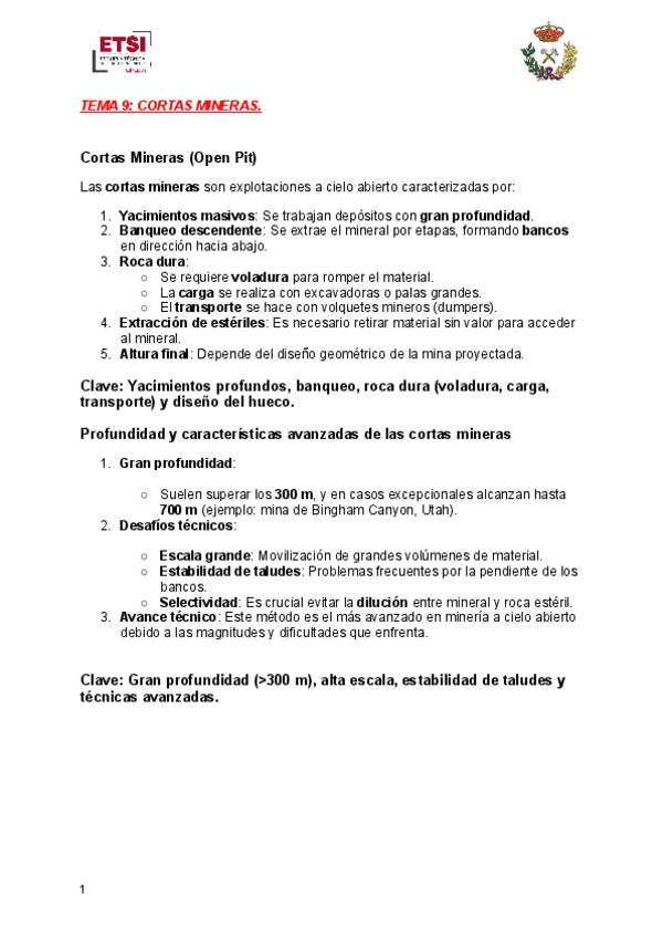 TEMA-9-CORTAS-MINERAS.pdf